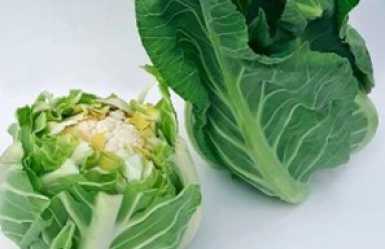 Nouveautés choux-fleurs