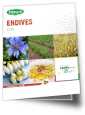 Brochure endives 2025