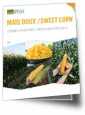 brochure maïs