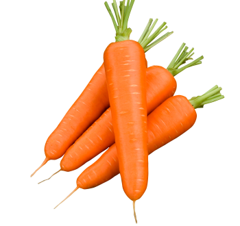 Carottes
