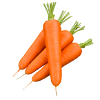 Carottes